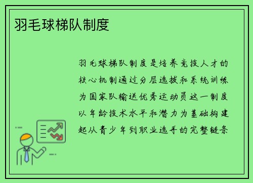 羽毛球梯队制度